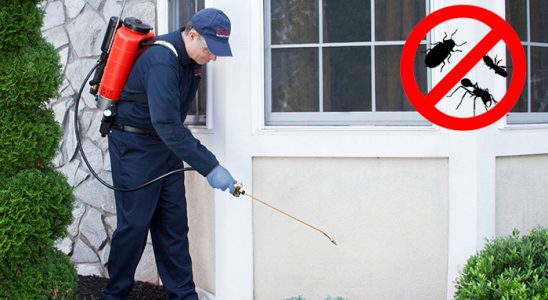 Taraklı Tahtakurusu İlaçlama böcek ilaçlama ve haşere kontrolü — ilaclama-tr.com